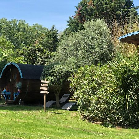 La Bastide De Negra Bed & Breakfast Montesquieu-Lauragais Exterior photo