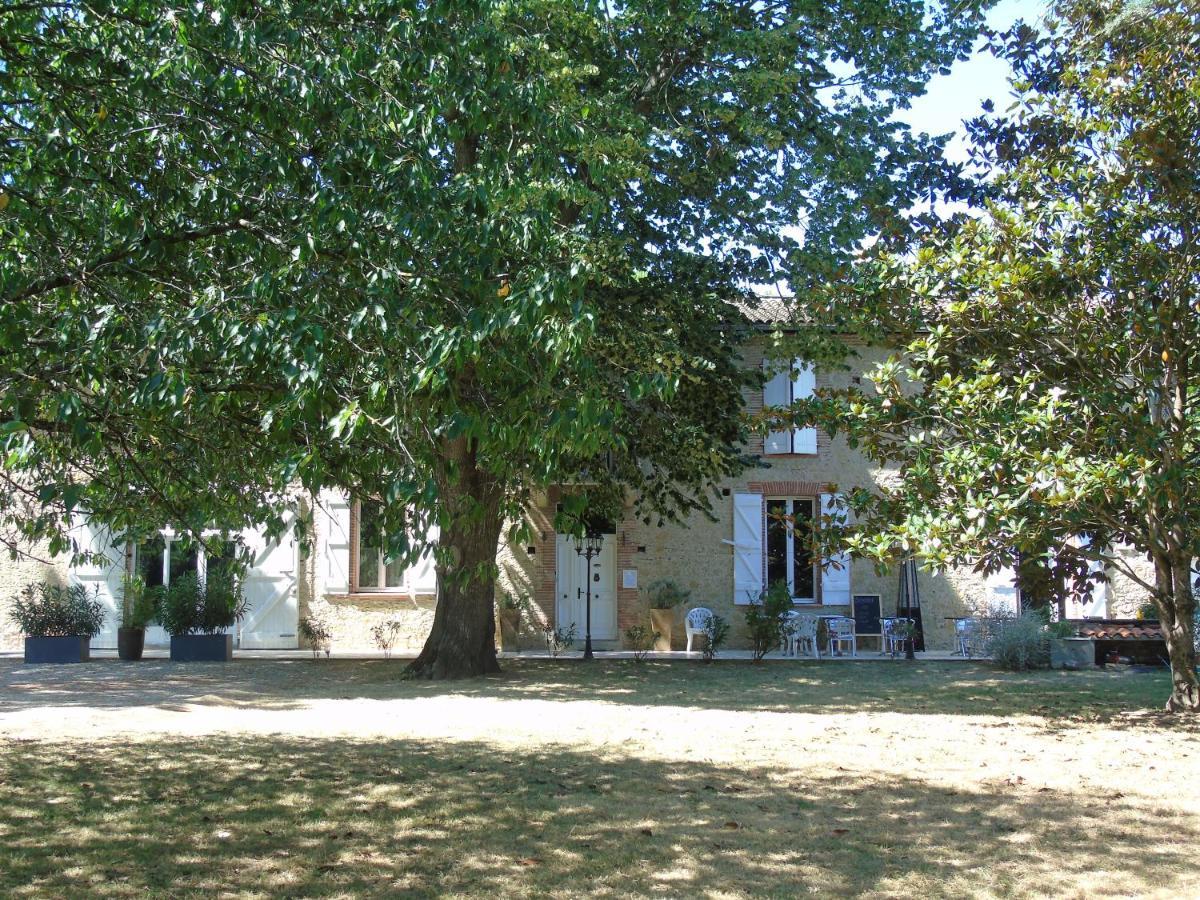 La Bastide De Negra Bed & Breakfast Montesquieu-Lauragais Exterior photo