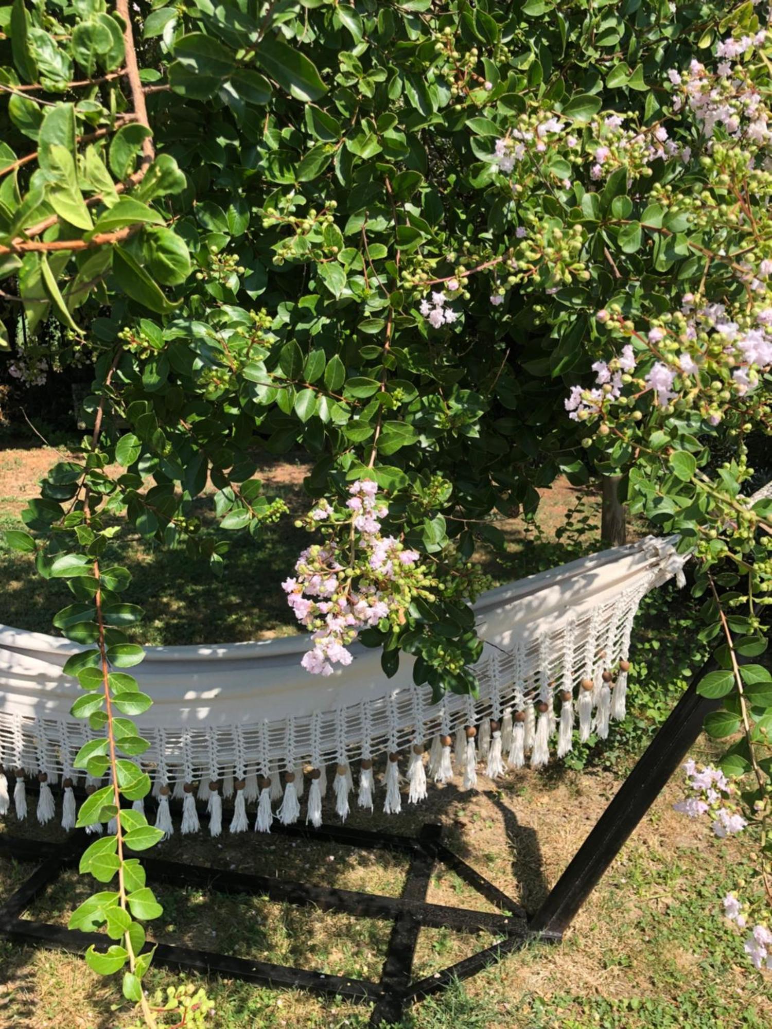 La Bastide De Negra Bed & Breakfast Montesquieu-Lauragais Exterior photo