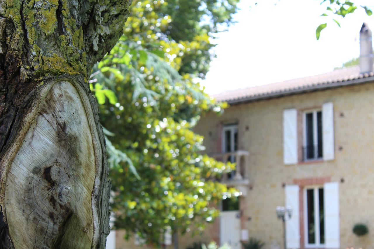La Bastide De Negra Bed & Breakfast Montesquieu-Lauragais Exterior photo